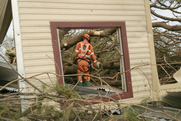 Best Tree Risk Assessment  in Amarillo, TX